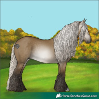 Horse Color:Gray Silver Smoky Grullo Rabicano