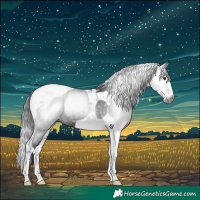 Horse Color:Gray Brown Splash Tobiano 