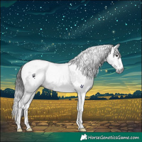 Horse Color:Gray Brown Splash Tobiano 