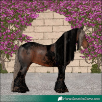 Horse Color:Void Liver Chestnut Tobiano 