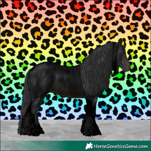 Horse Color:Void Brown Roan Tobiano 