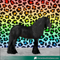 Horse Color:Void Brown Roan Tobiano 