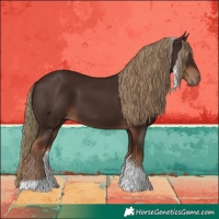 Horse Color:Liver Chestnut Tobiano