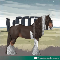 Horse Color:Liver Chestnut Tobiano 