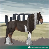 Horse Color:Liver Chestnut Tobiano