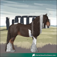 Horse Color:Liver Chestnut Tobiano 