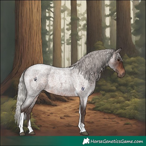 Horse Color:Silver Brown Roan Tobiano 