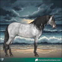 Horse Color:Platinum White Spotted Blue Roan 
