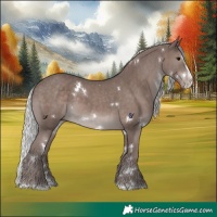 Horse Color:Platinum White Spotted Silver Black Splash Rabicano 