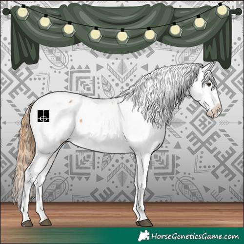 Horse Color:Chestnut Near Fewspot