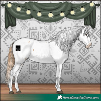 Horse Color:Chestnut Appaloosa 
