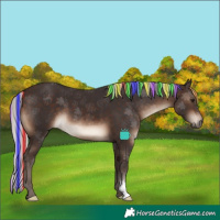 Horse Color:Painted Silver Brown