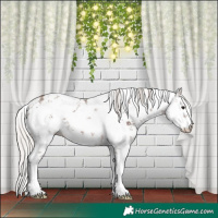 Horse Color:White Spotted Silver Bay Sabino 