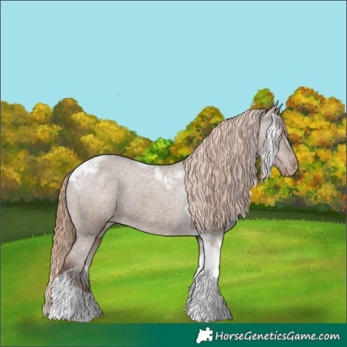 Horse Color:Liver Red Dun Tobiano Appaloosa 