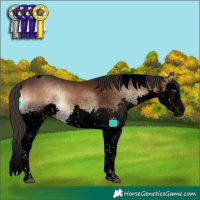 Horse Color:Void Brown Onyx Splash Tobiano 