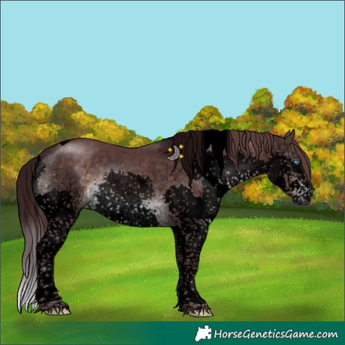 Horse Color:Void Platinum Chocolate Brown Sabino Splash Tobiano 