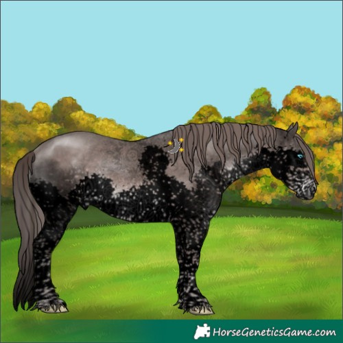 Horse Color:Void Platinum Liver Chestnut Sabino Splash Tobiano 