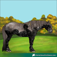 Horse Color:Void Platinum Liver Chestnut Sabino Splash Tobiano 