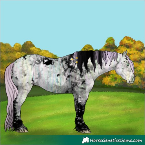 Horse Color:Void Watercolor White Spotted Gold Champagne Ice Dun Tobiano 