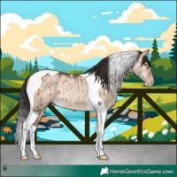 Horse Color:Sable Champagne Dun Tobiano Brindle 
