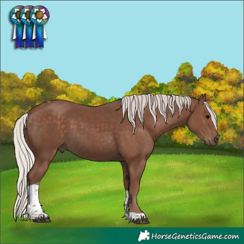 Horse Color:Silver Black Tobiano 