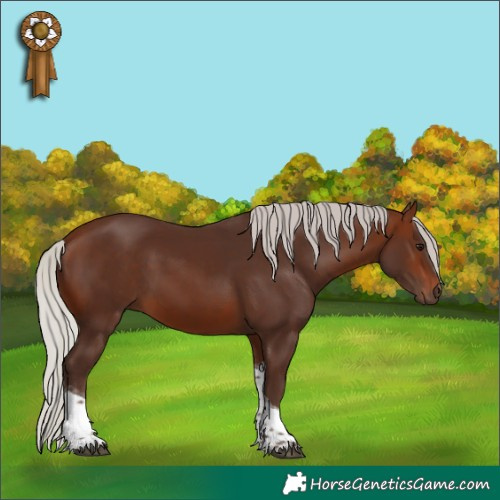 Horse Color:Silver Brown Tobiano 