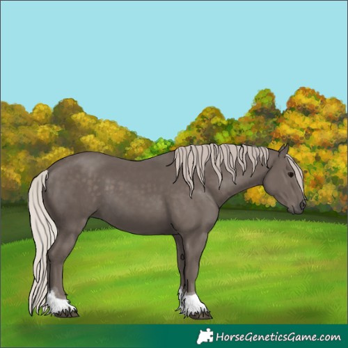 Horse Color:Silver Black Tobiano 