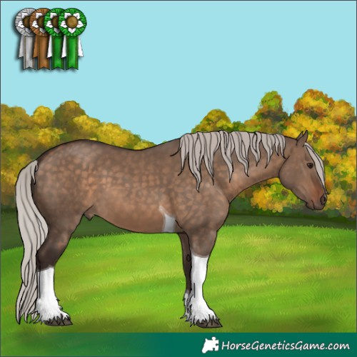 Horse Color:Silver Brown Dun Tobiano 