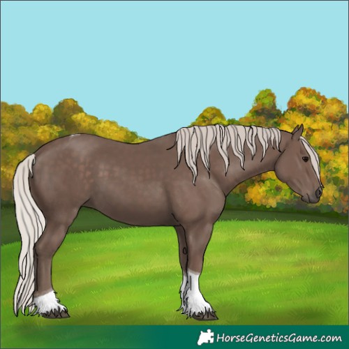 Horse Color:Silver Black Tobiano 