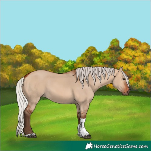Horse Color:Silver Bay Dun Tobiano 