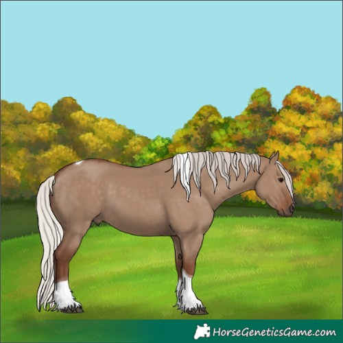 Horse Color:Silver Grullo Tobiano 