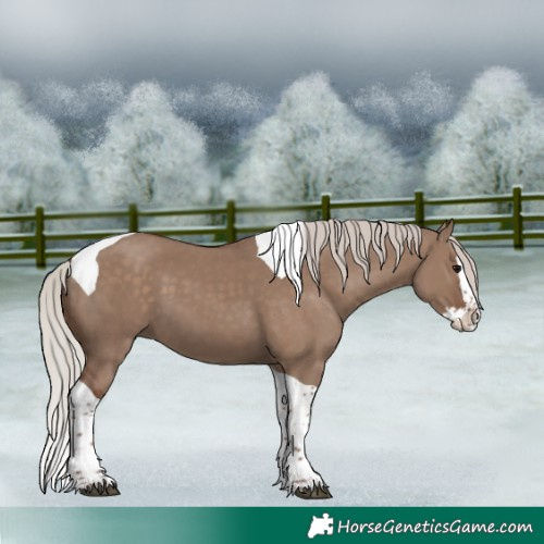 Horse Color:Silver Grullo Splash Tobiano 