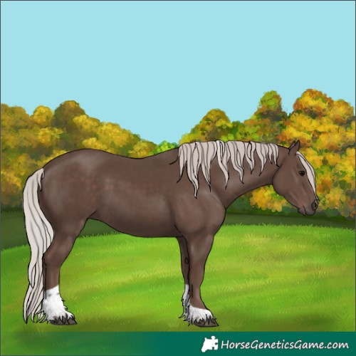 Horse Color:Silver Black Tobiano 