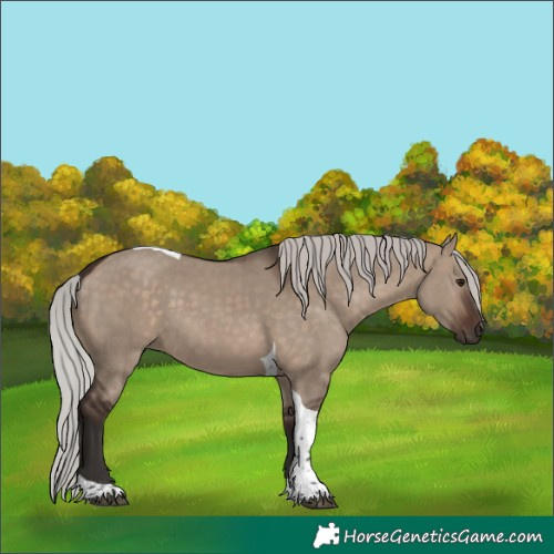 Horse Color:Silver Brown Dun Tobiano Rabicano 