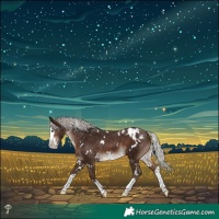 Horse Color:White Spotted Silver Brown Mushroom Splash Varnish 