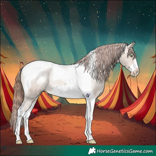 Horse Color:Amber Champagne Dun Tobiano Frame Appaloosa Rabicano Brindle 