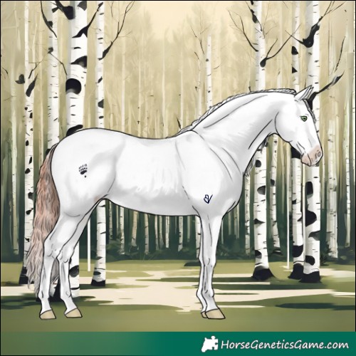 Horse Color:Amber Champagne Dun Tobiano Frame Varnish Rabicano Brindle 