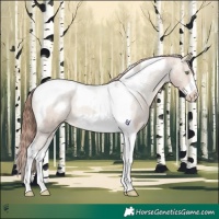 Horse Color:Amber Champagne Dun Tobiano Frame Appaloosa Rabicano Brindle 