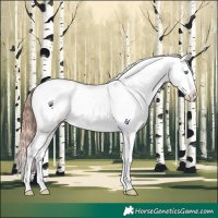 Horse Color:Amber Champagne Dun Tobiano Frame Appaloosa Rabicano Brindle 