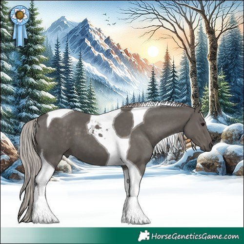 Horse Color:Silver Black Tobiano 