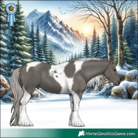 Horse Color:Silver Black Tobiano 