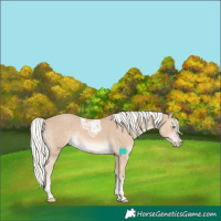 Horse Color:Silver Smoky Creme Tobiano 