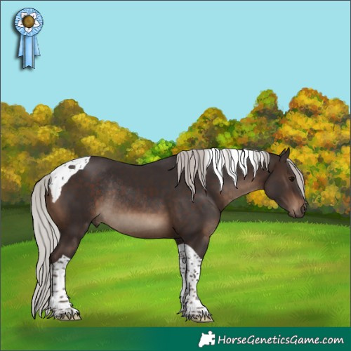 Horse Color:Silver Brown Tobiano Rabicano 