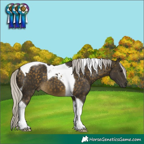 Horse Color:Silver Buckskin Tobiano 