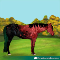 Horse Color:ERROR: UNKNOWN ANOMALY