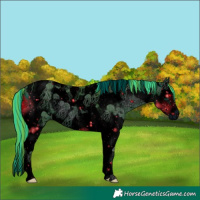 Horse Color:ERROR: UNKNOWN ANOMALY