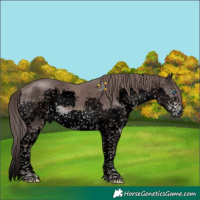 Horse Color:Void Platinum Liver Chestnut Sabino Splash Tobiano