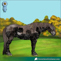Horse Color:Void Platinum Liver Chestnut Sabino Splash Tobiano