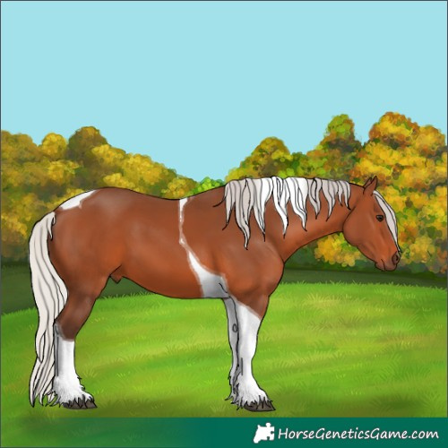 Horse Color:Silver Brown Tobiano 