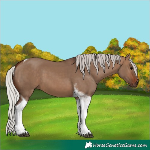 Horse Color:Silver Brown Dun Tobiano 